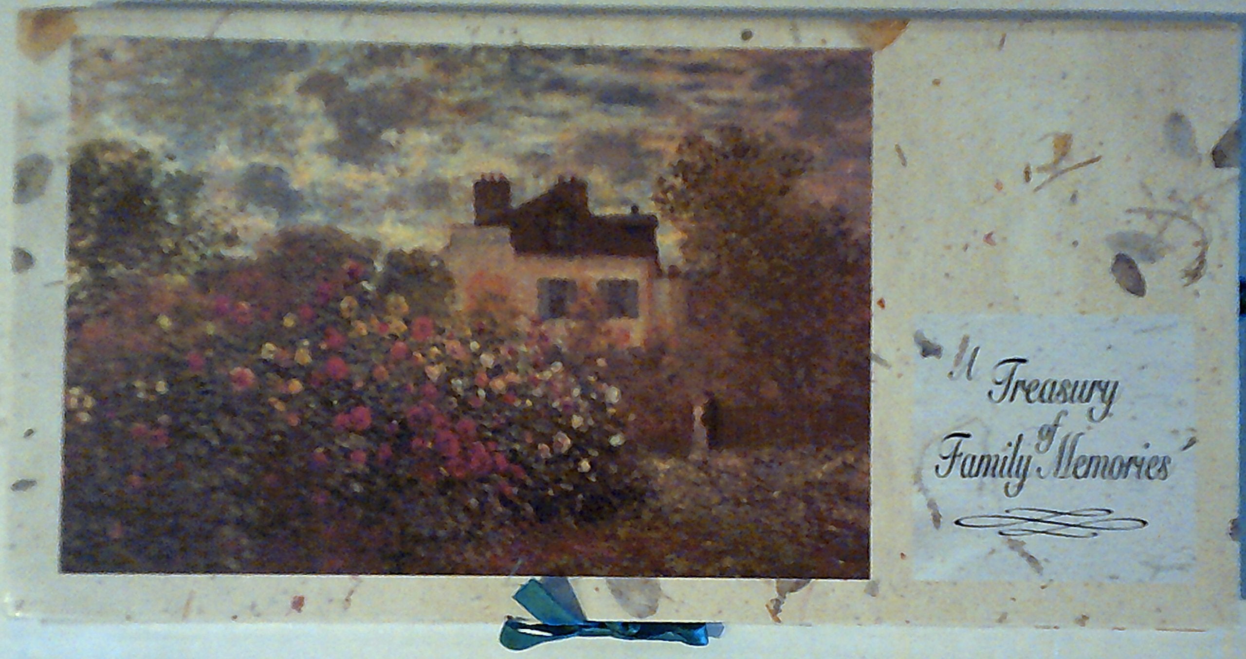A Treasury of Family Memories book