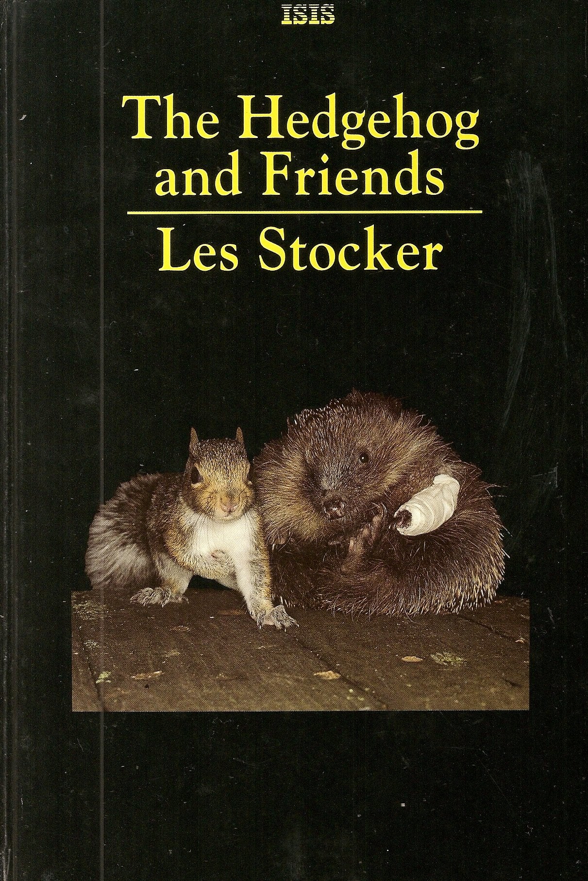 The Hedgehog and Friends: More Tales from St.Tiggywinkles (ISIS Large Print S.) Mathematics