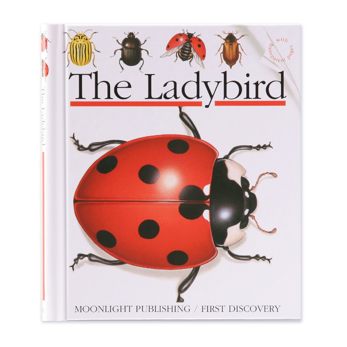 The Ladybird (First Discovery Series) Non-fiction