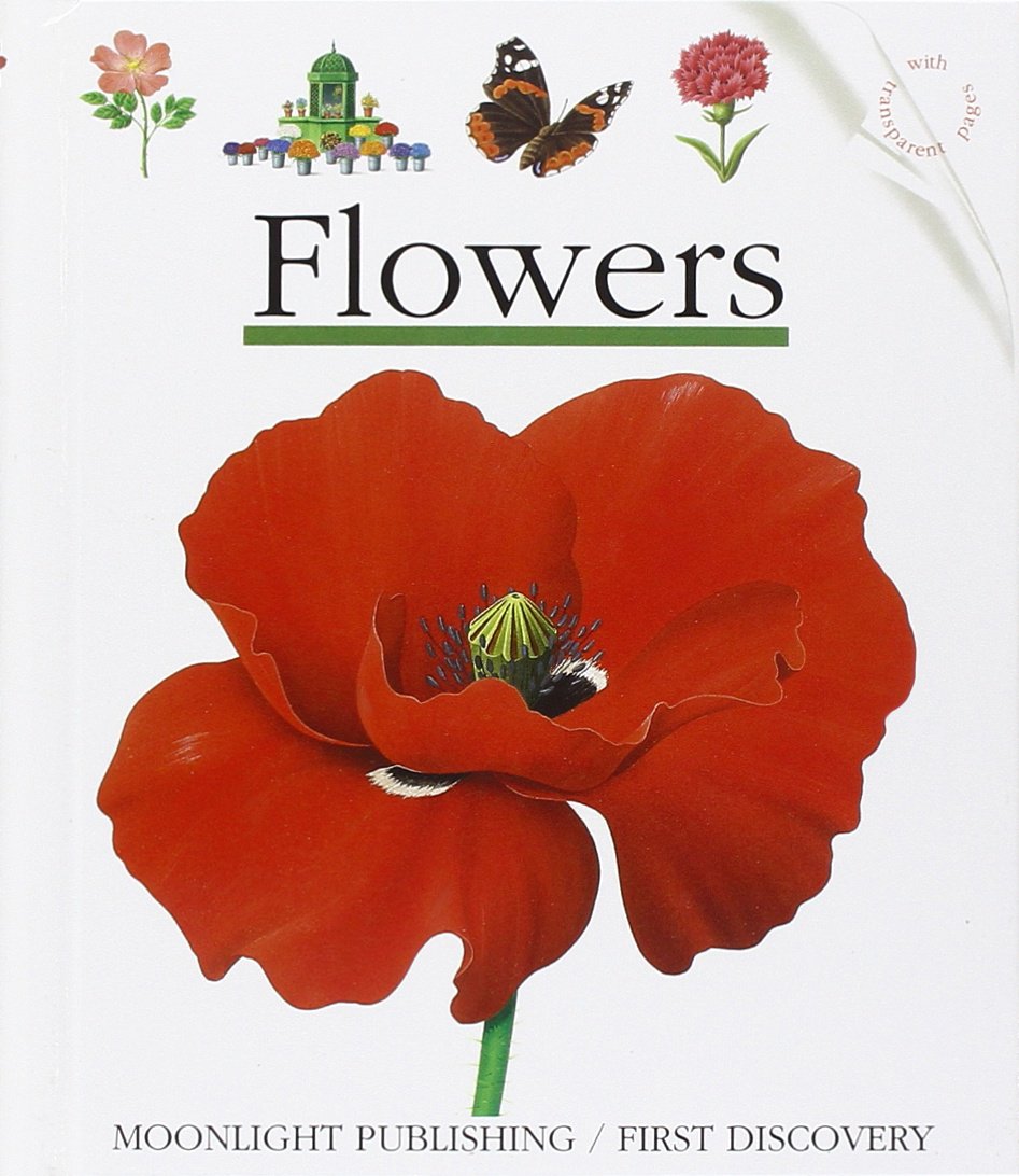 Product Image: Flowers (First Discovery Series)