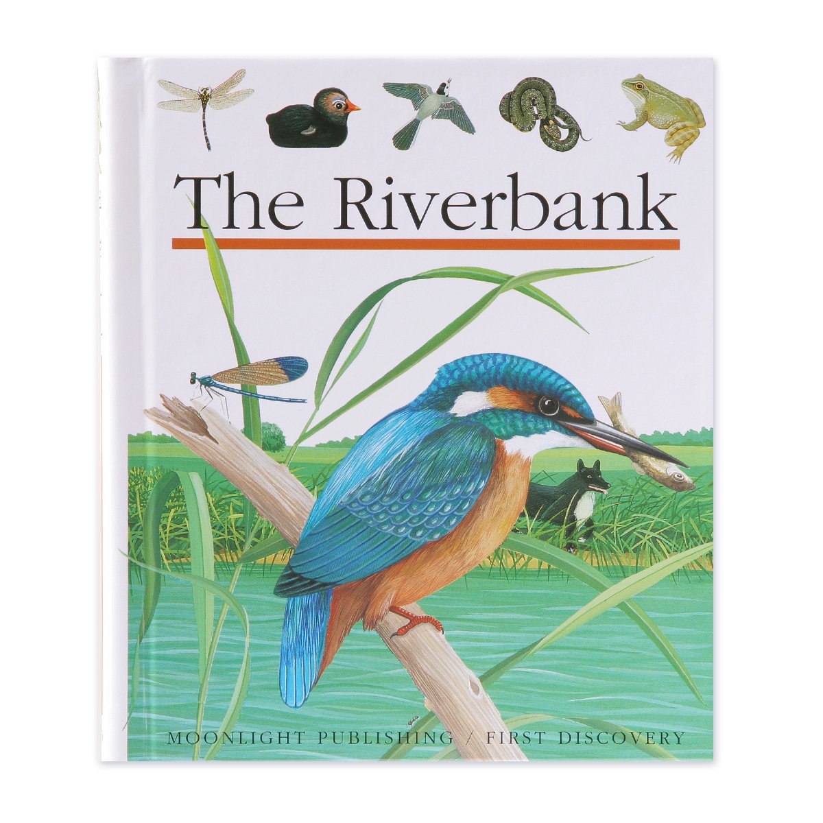 Product Image: The Riverbank (First Discovery Series)