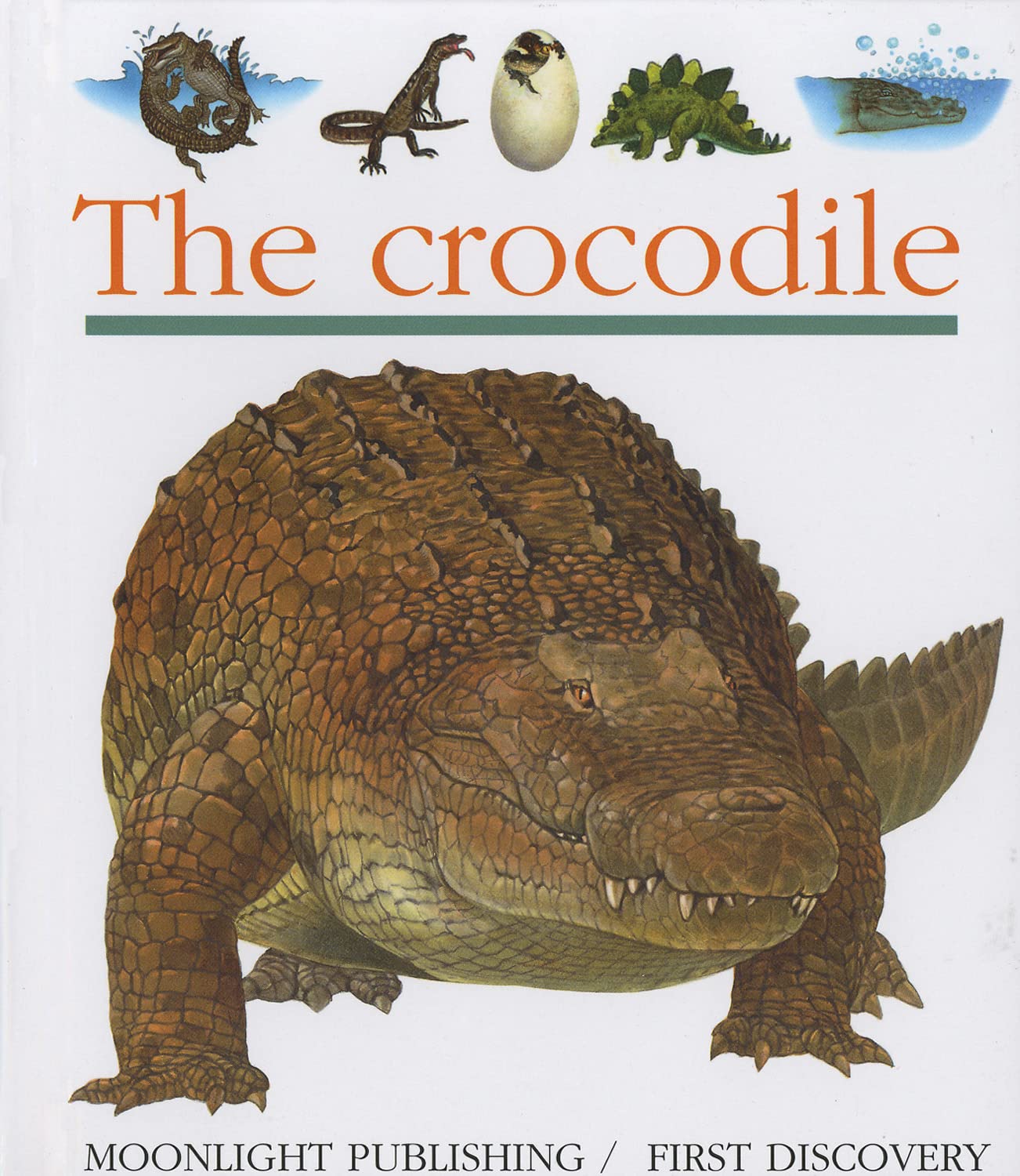 The Crocodile (First Discovery, Band 78) Non-fiction