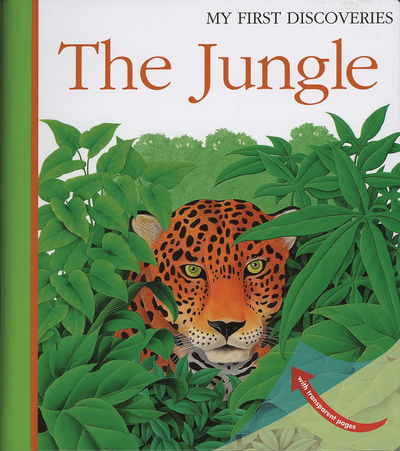 The Jungle: Volume 18 (My First Discoveries, Band 18) Non-fiction