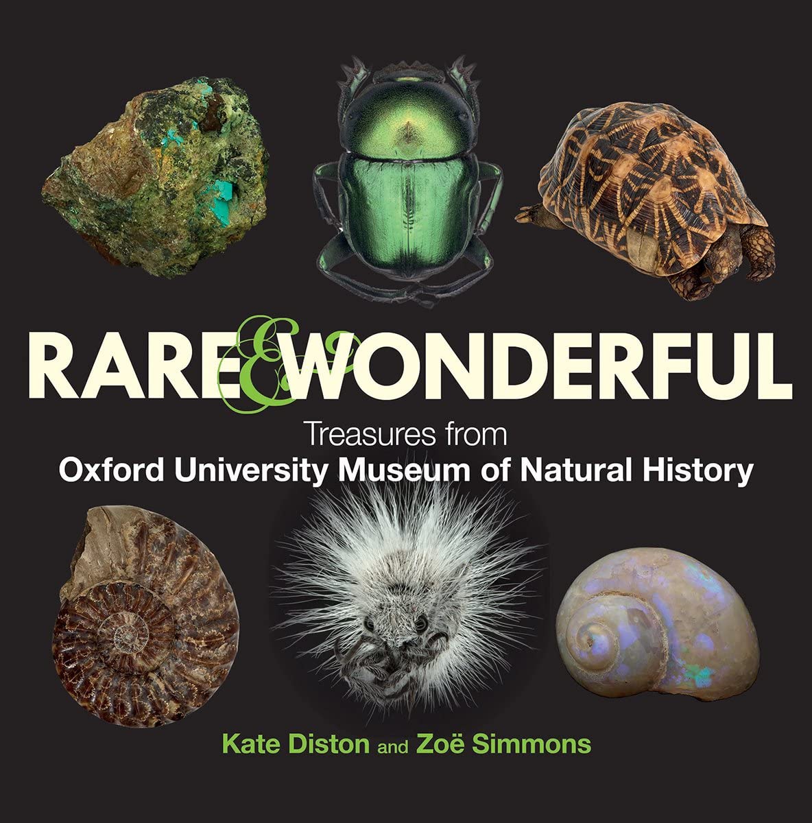 Rare & Wonderful: Treasures from Oxford University Museum of Natural History book