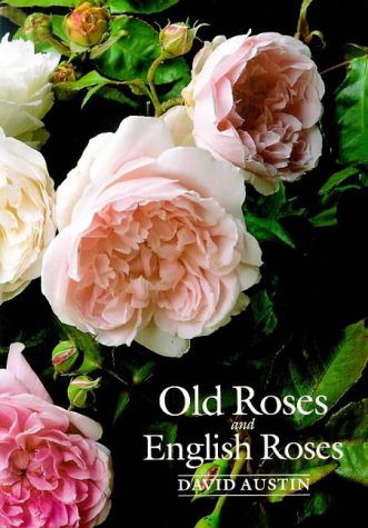 Old Roses and English Roses Garden & Plants