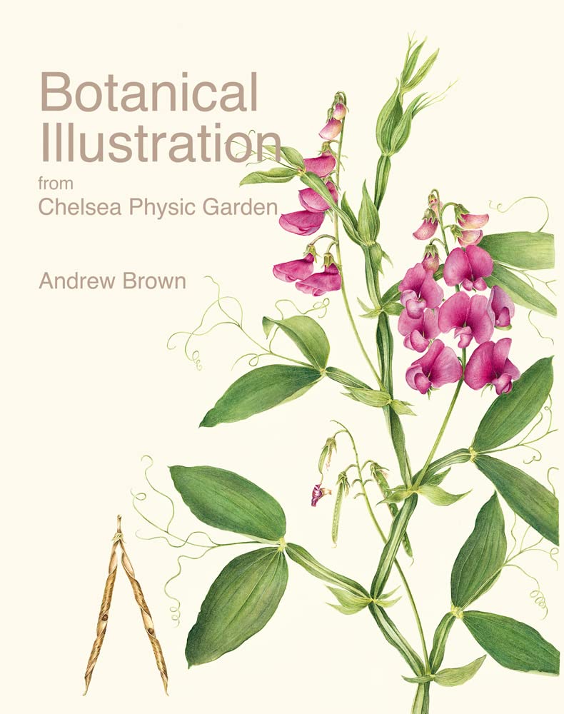 Botanical Illustration from Chelsea Physic Garden Film, Art & Culture