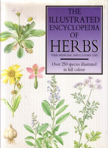 The Illustrated Encyclopedia of Herbs: Their Medicinal and Culinary Uses book