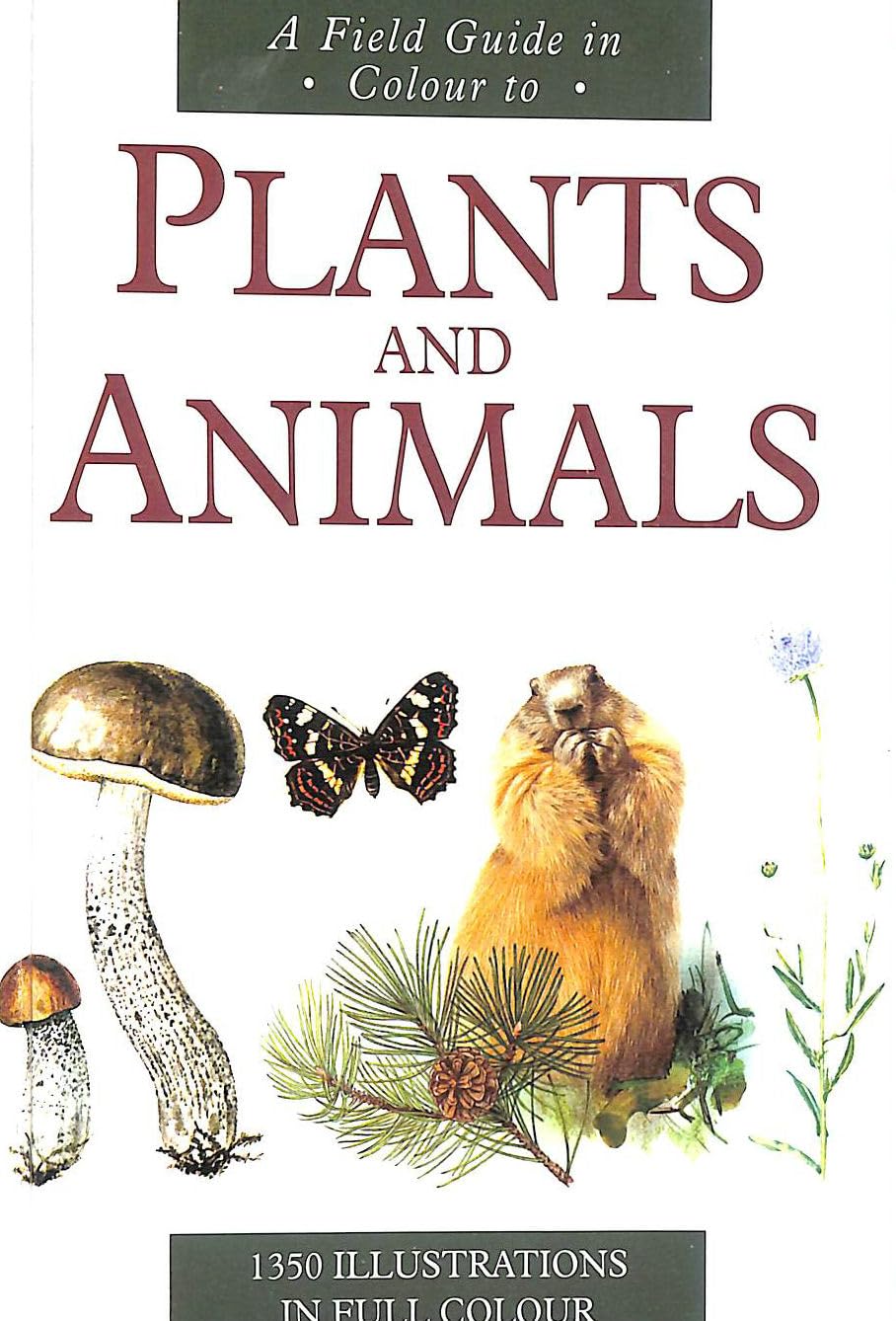 A Field Guide in Colour to Plants and Animals Mathematics