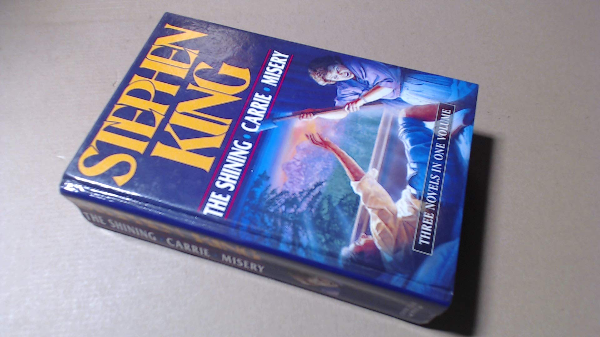 The Shining, The Contemporary literature