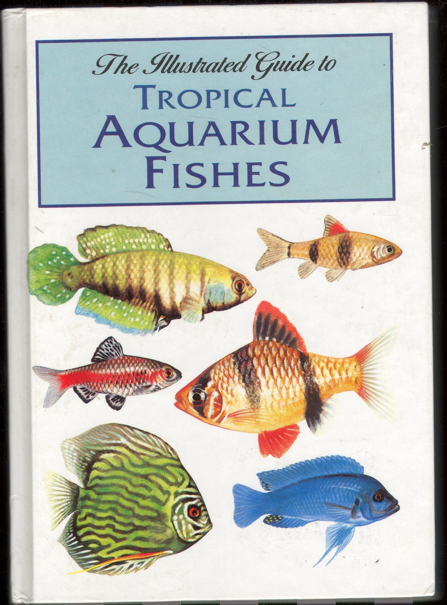 The Illustrated Guide to Tropical Aquarium Fishes Pets