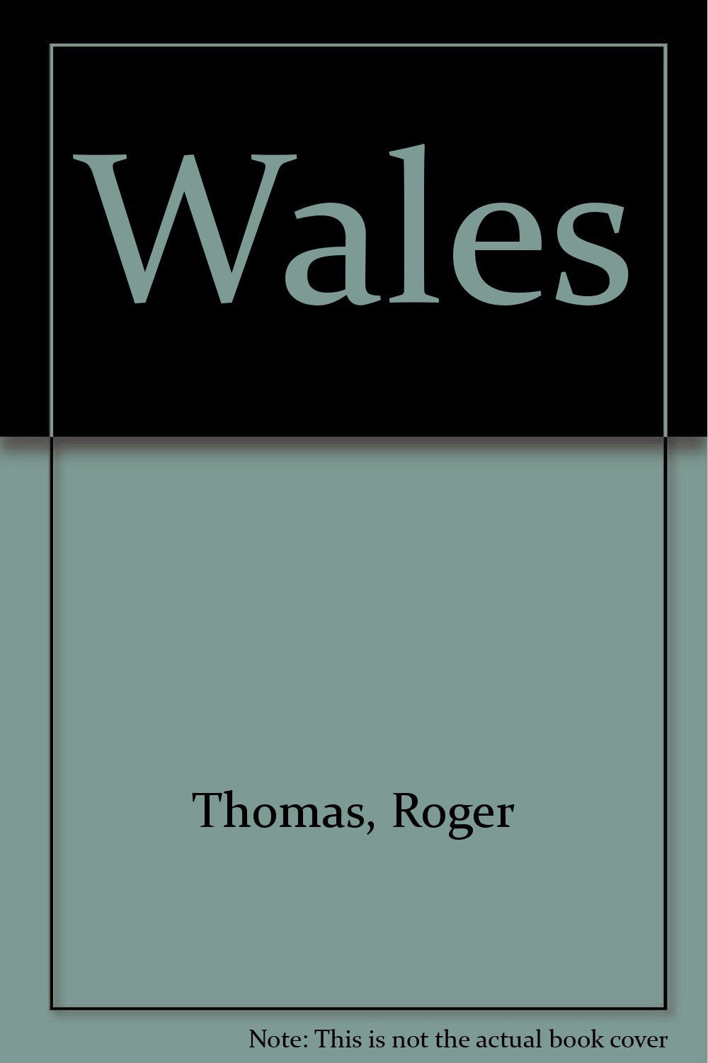 Wales Politics & History