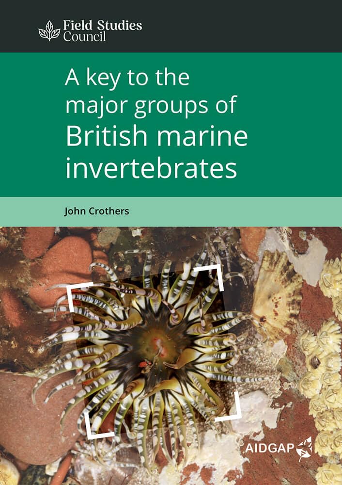 Key to the Major Groups of British Marine Invertebrates (AIDGAP S.) Business & Technology