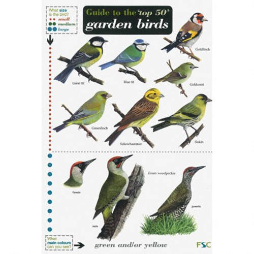 Guide to the Top 50 Garden Birds (Field Studies Council Occasional Publications S., Band 52) book