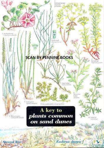 Key to Plants Common on Sand Dunes (Field Studies Council Occasional Publications S.) Mathematics