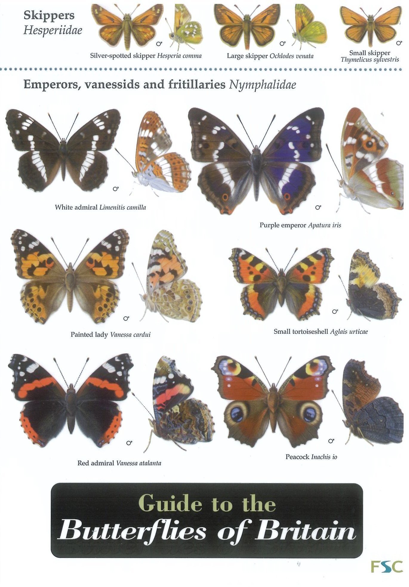 Guide to the Butterflies of Britain book