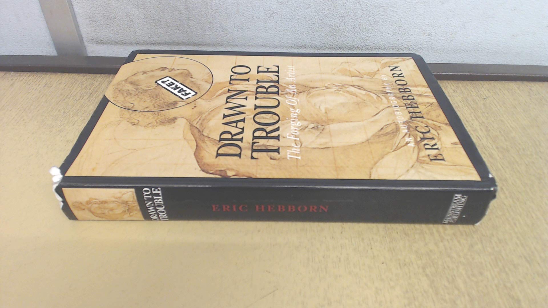 Drawn To Trouble: The Forging of an Artist Memories