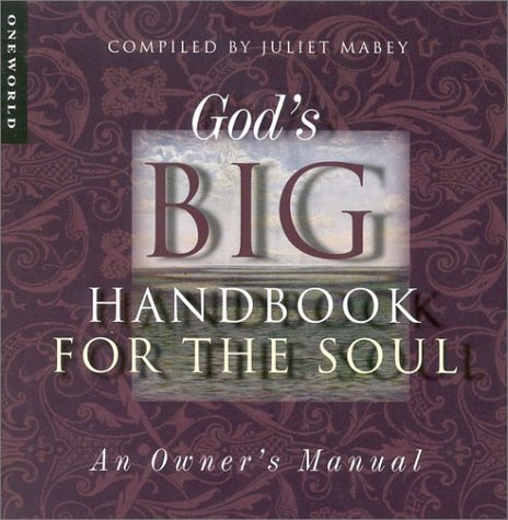 God's Big Handbook for the Soul: An Owner's Manual Contemporary literature