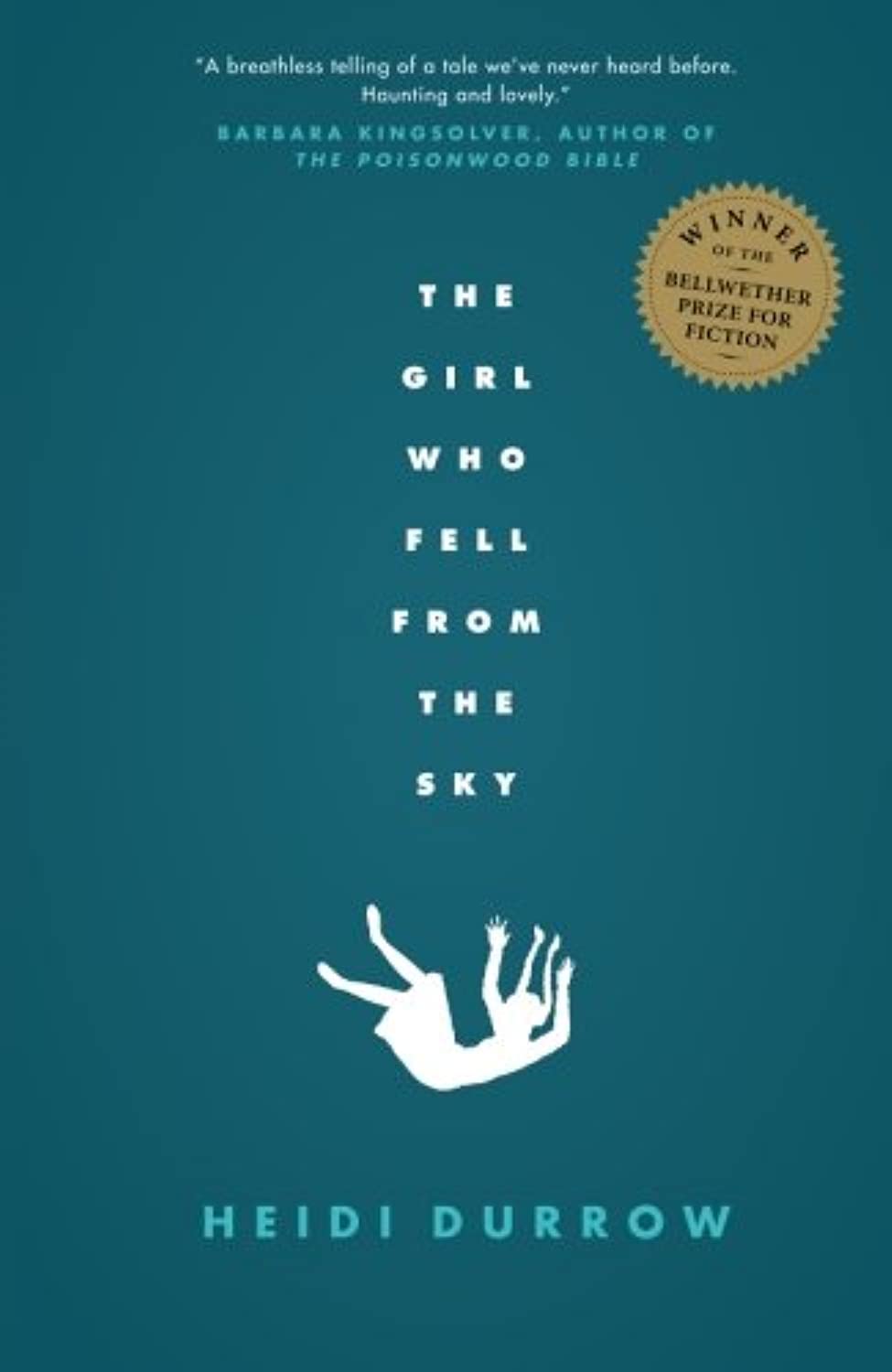 The Girl Who Fell from the Sky book