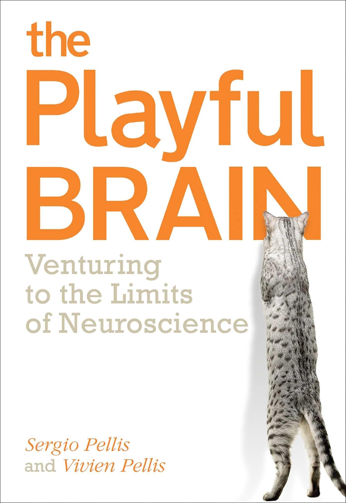 The Playful Brain: Venturing to the Limits of Neuroscience Medicine