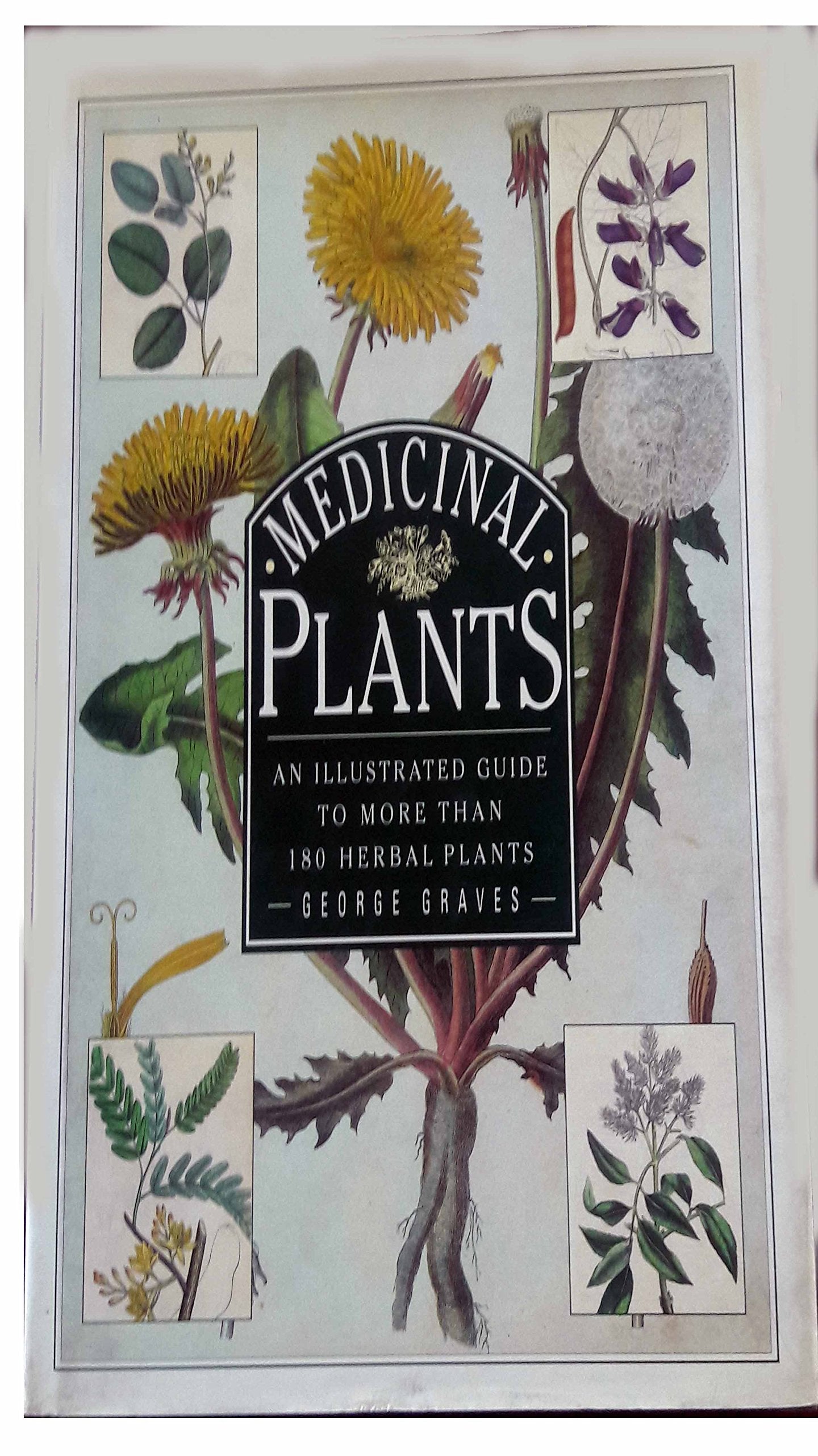 Medicinal Plants: An Illustrated Guide to More Than 180 Plants That Cure Disease and Relieve Pain Garden & Plants