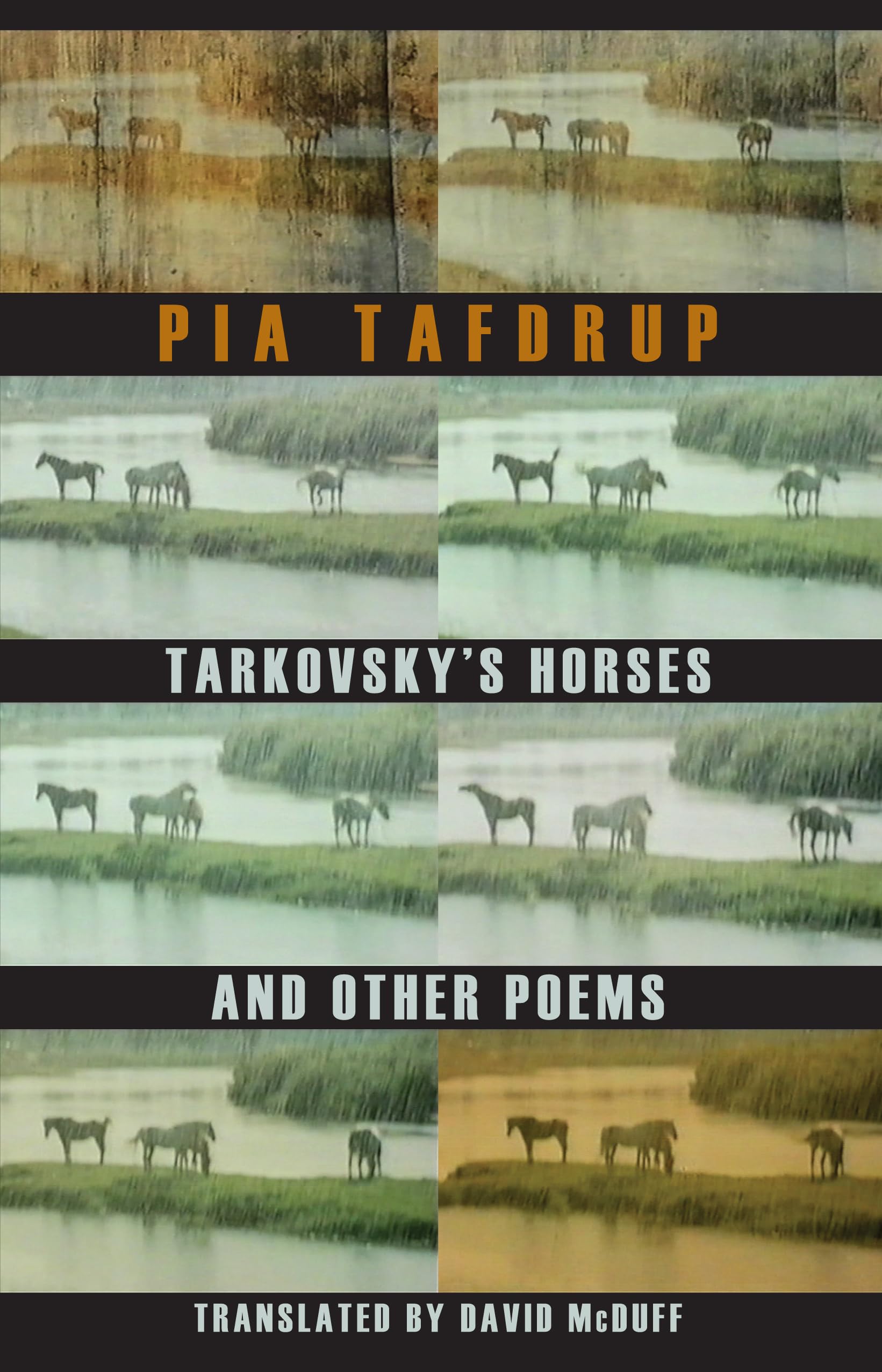 Tarkovsky's Horses and Other Poems Social Sciences