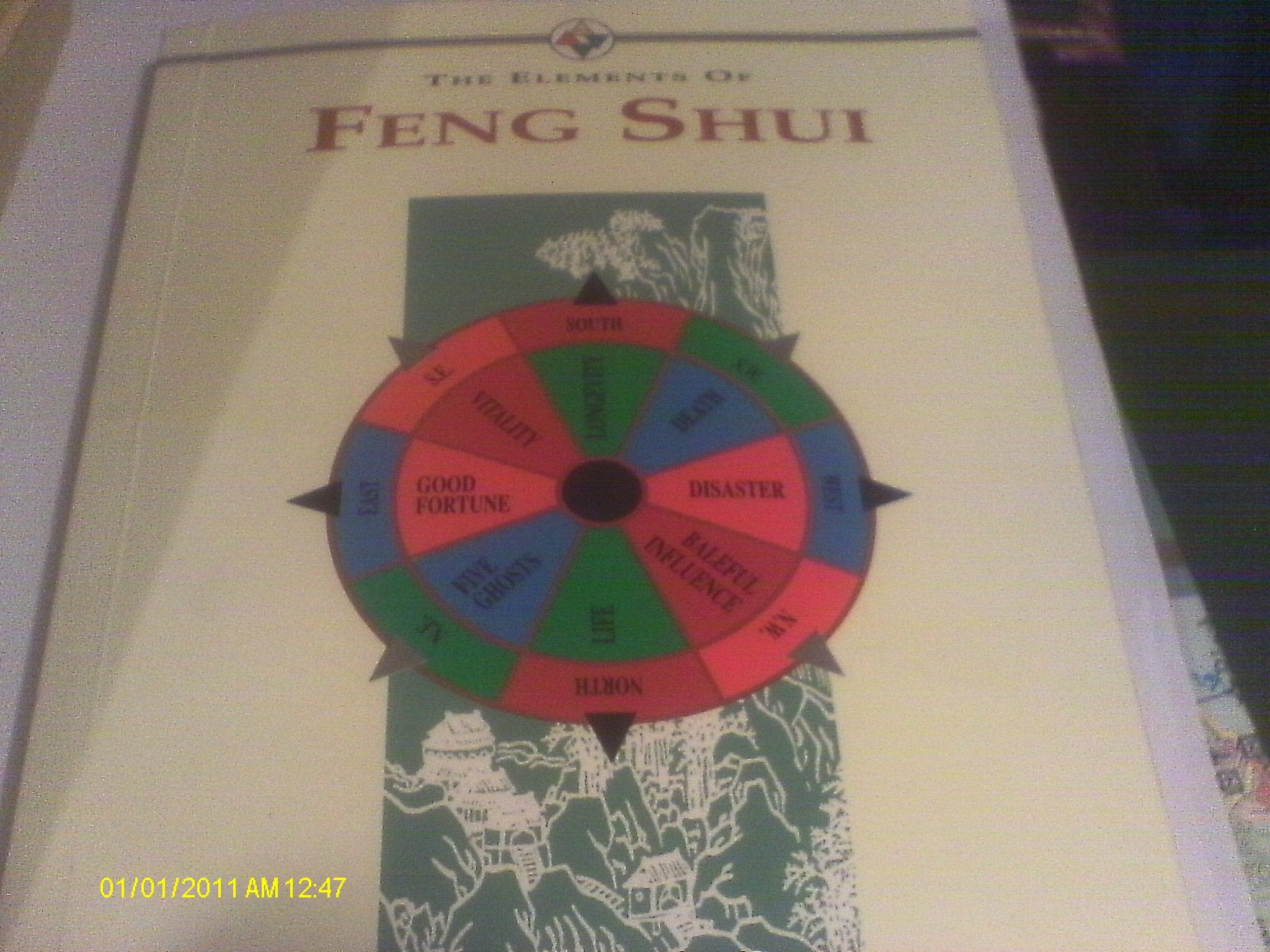 Feng Shui (The Elements of…) Architecture