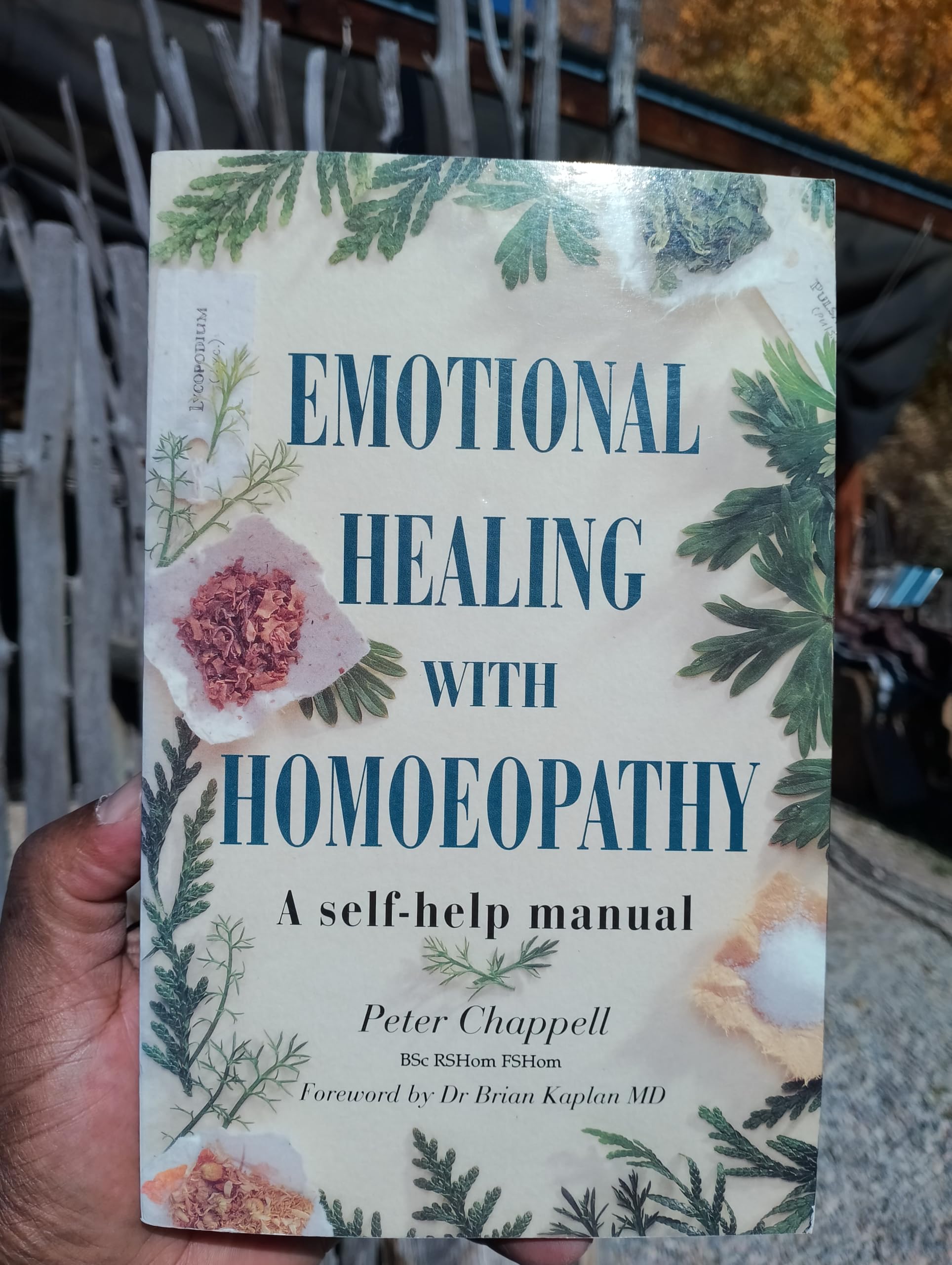 Emotional Healing With Homeopathy: A Self-Help Manual book