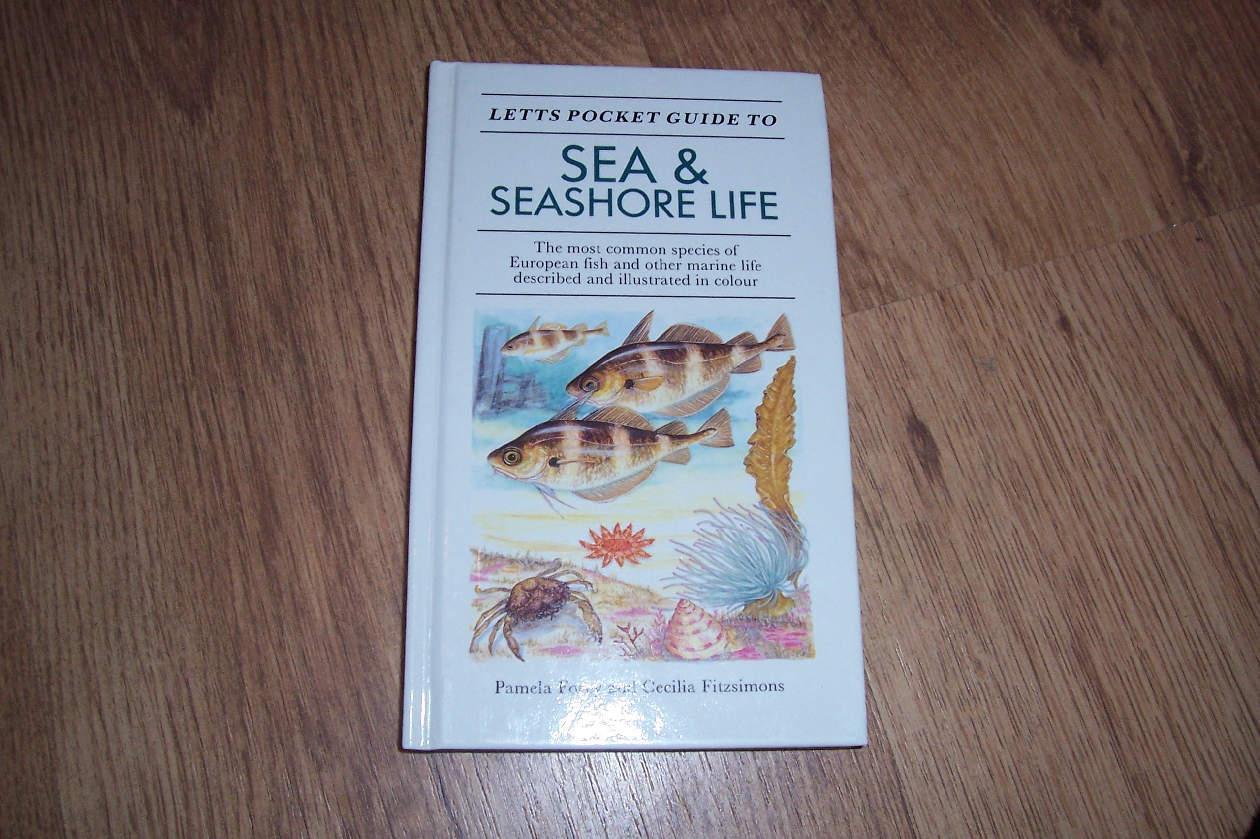 Letts Pocket Guide to Sea and Seashore Life book