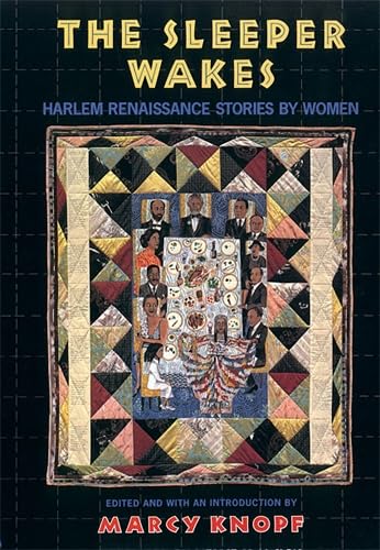 The Sleeper Wakes: Stories by the Harlem Renaissance by Women Contemporary literature