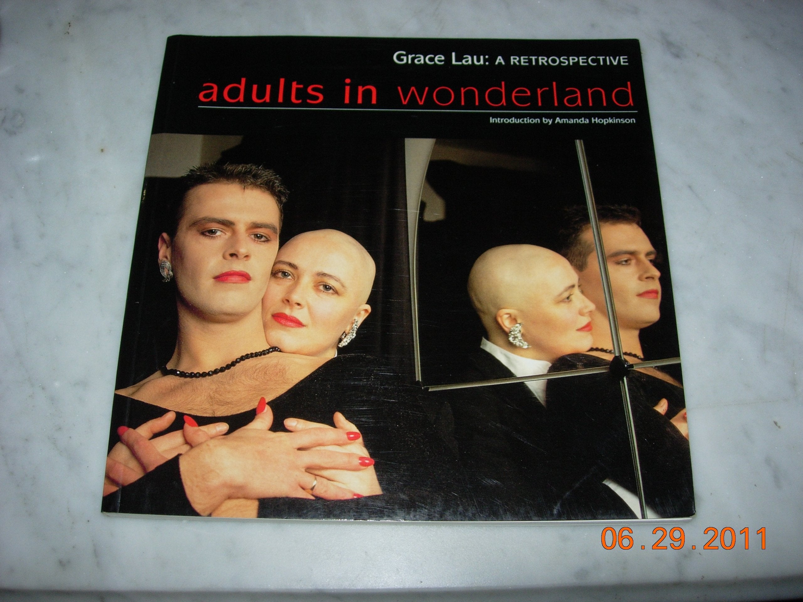 Adults in Wonderland: A Retrospective book