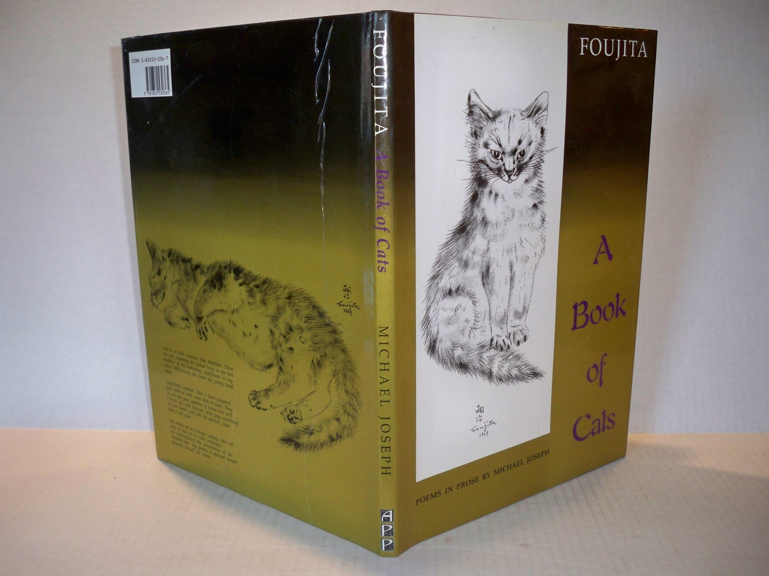 A Book of Cats: Twenty Drawings: Poems in Prose Mathematics