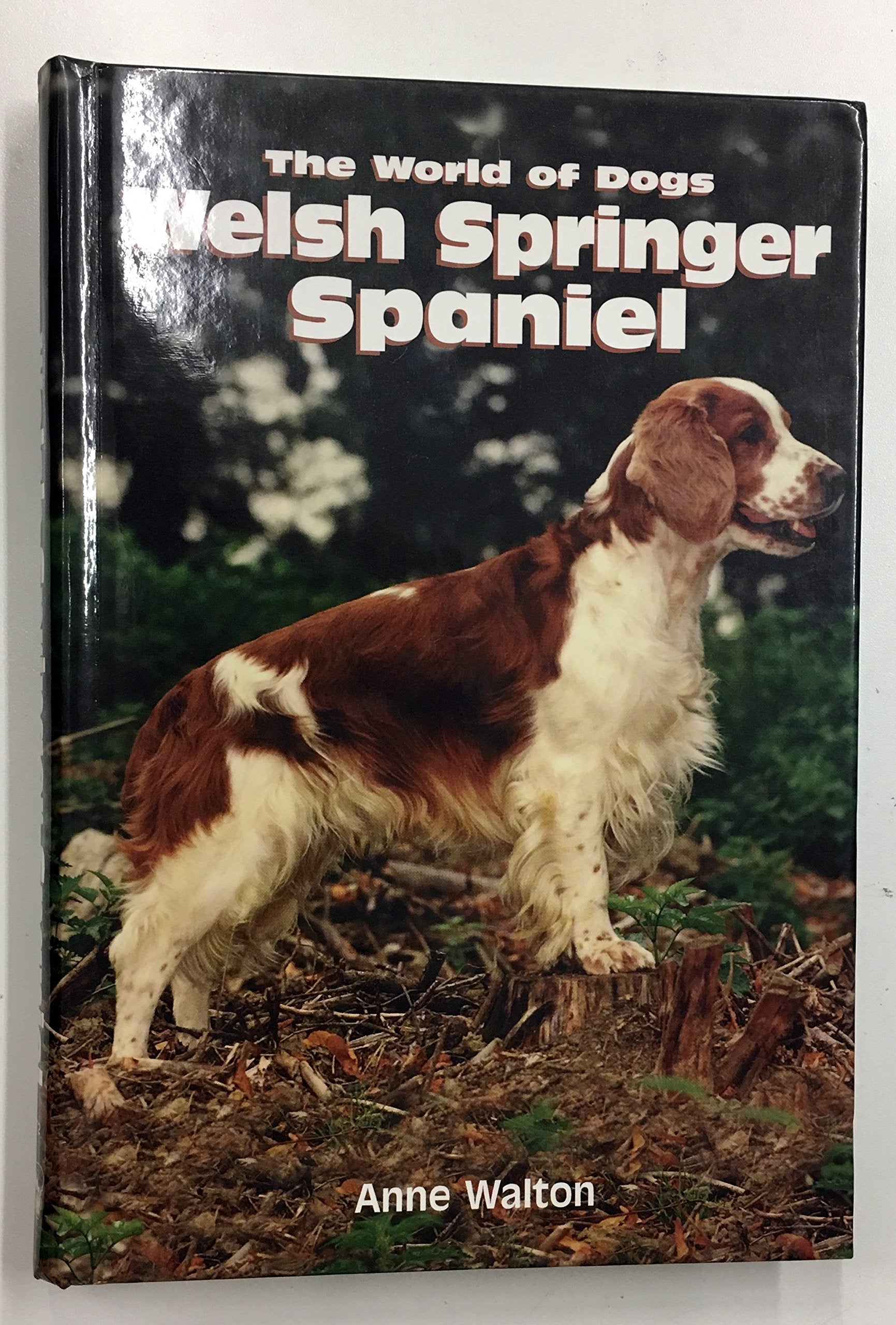 Welsh Springer Spaniel (World of Dogs S.) Pets
