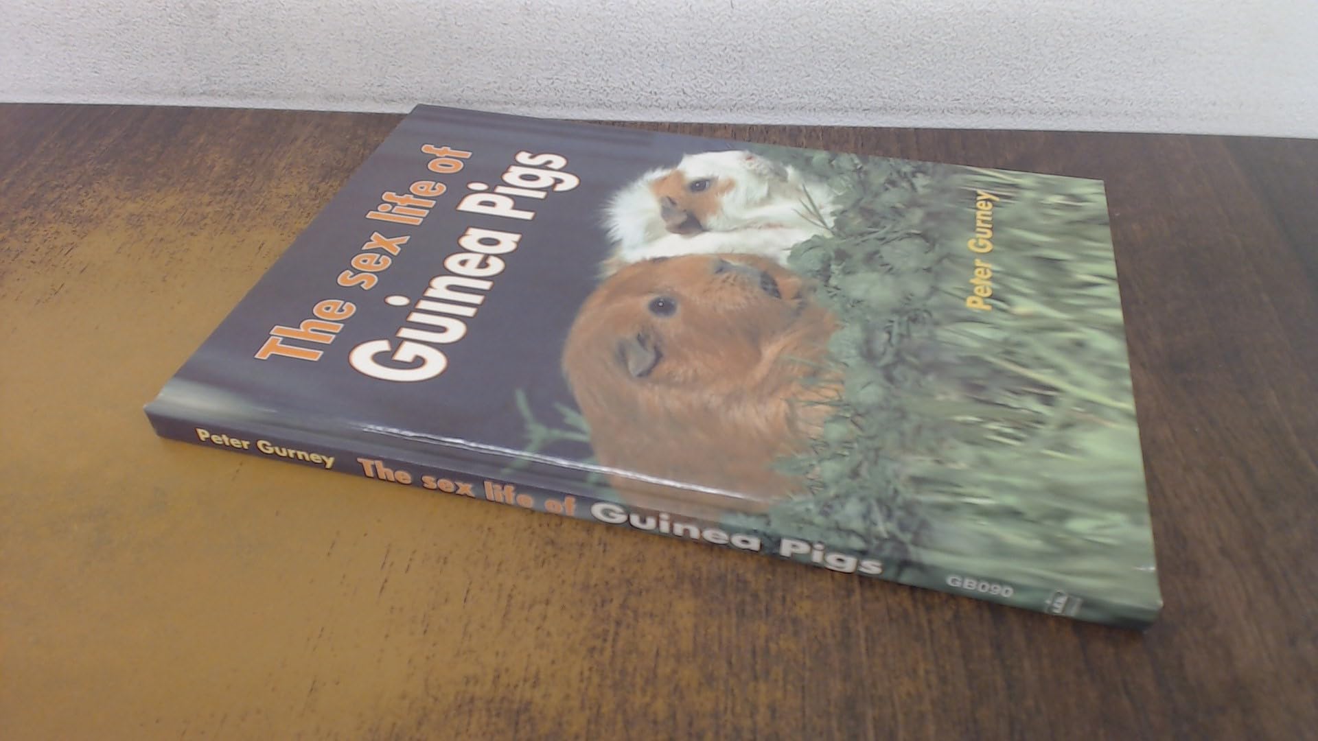 The Sex Life of Guinea Pigs Pets
