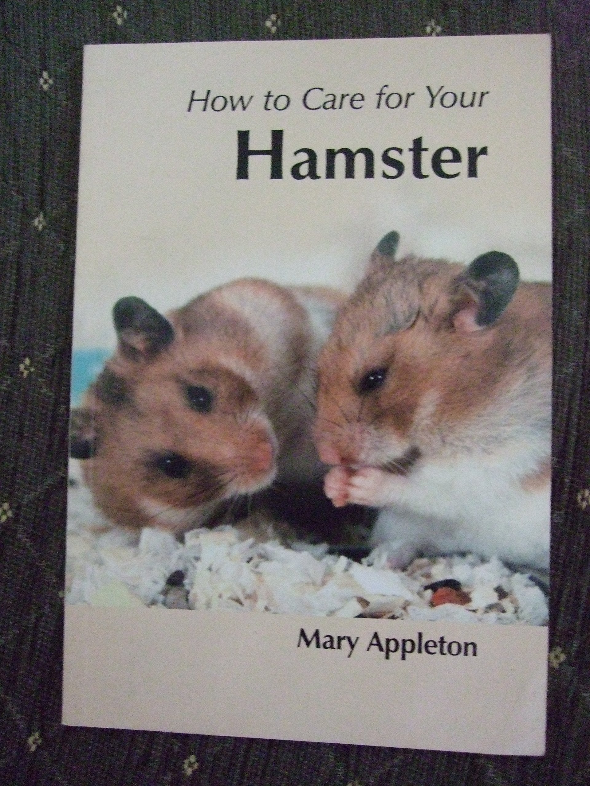 How to Care for Your Hamster (Your first...series) Pets