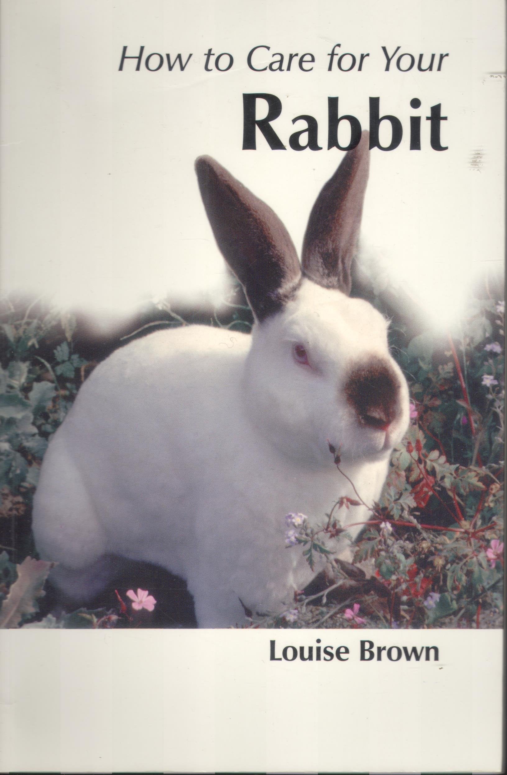 How to Care for Your Rabbit (Your first...series) Pets