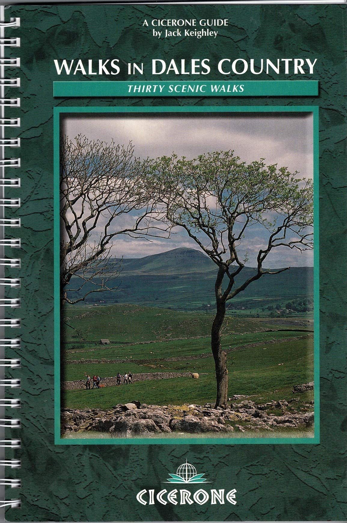Walks in Dales Country: An illustrated guide to 30 scenic walks Leisure, Home & Garden