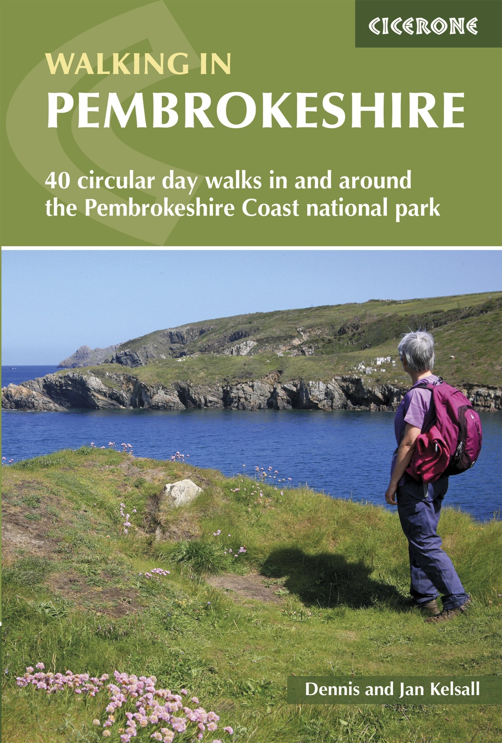 Walking in Pembrokeshire: 40 circular walks in and around the Pembrokeshire Coast National Park (Cicerone guidebooks) Leisure, Home & Garden