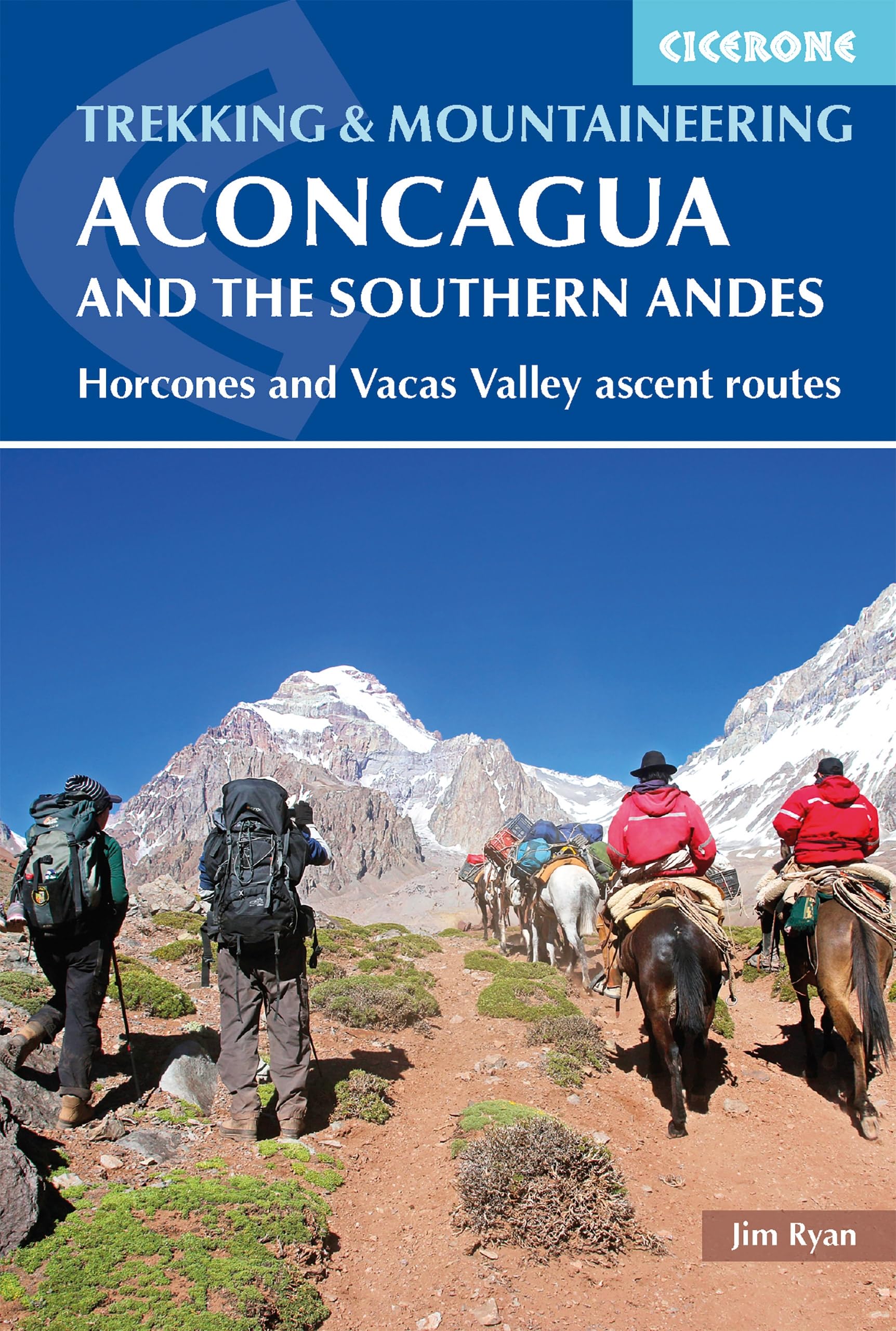 Aconcagua and the Southern Andes Leisure, Home & Garden