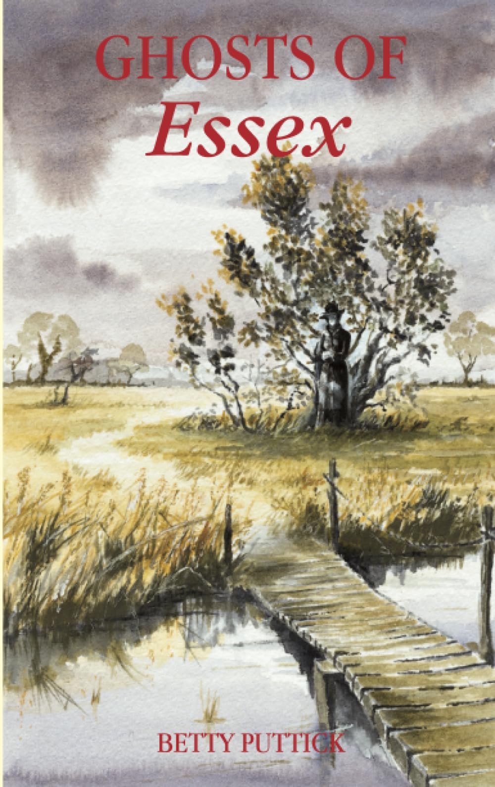 Ghosts of Essex (Haunted England Ghost Stories) Politics & History