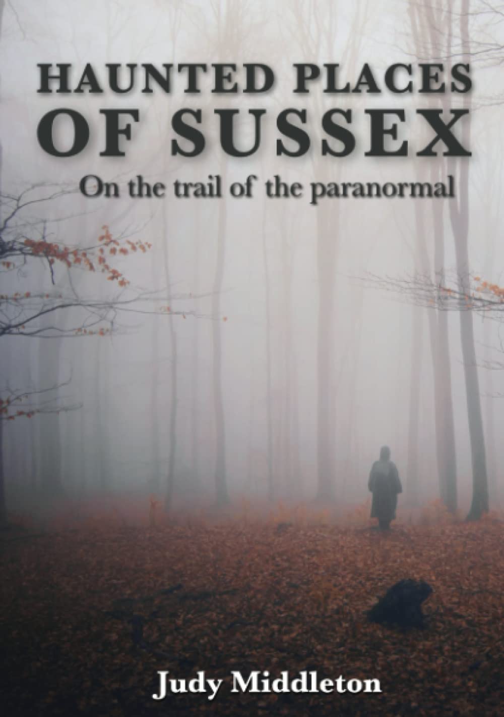 Haunted Places of Sussex - On the trail of the paranormal (Haunted Britain) Politics & History