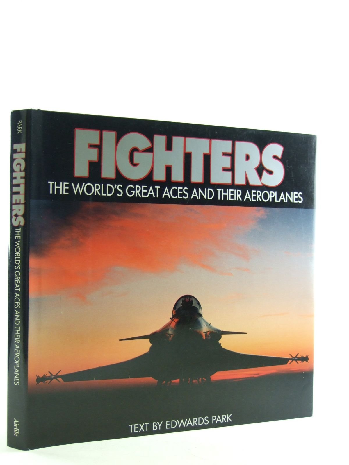 Fighters: The World's Great Aces and Their Planes Social Sciences