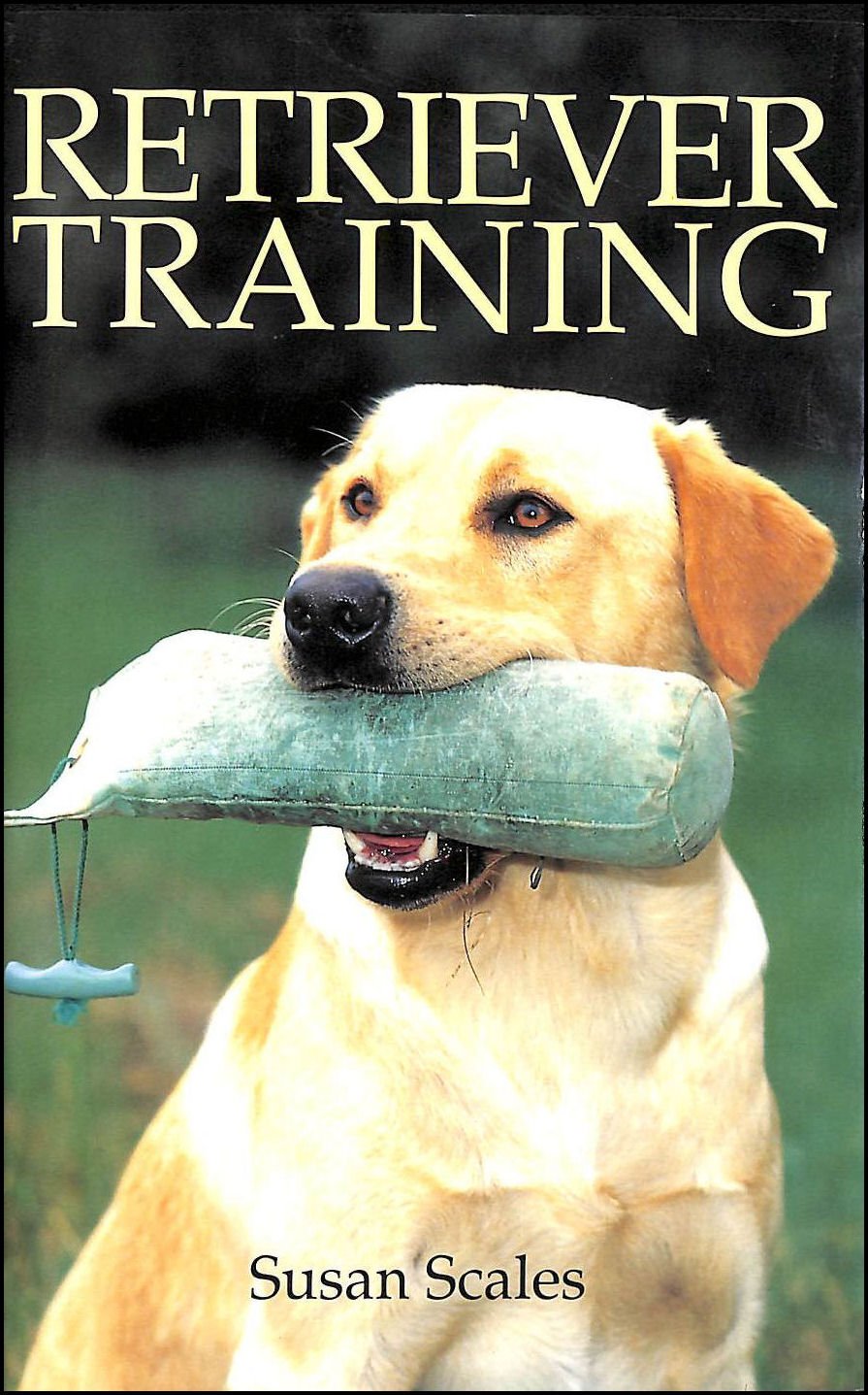 Retriever Training Pets