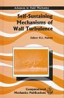 Self-Sustaining Mechanisms of Wall Turbulence (Advances in Fluid Mechanics, Band 15) Business & Technology