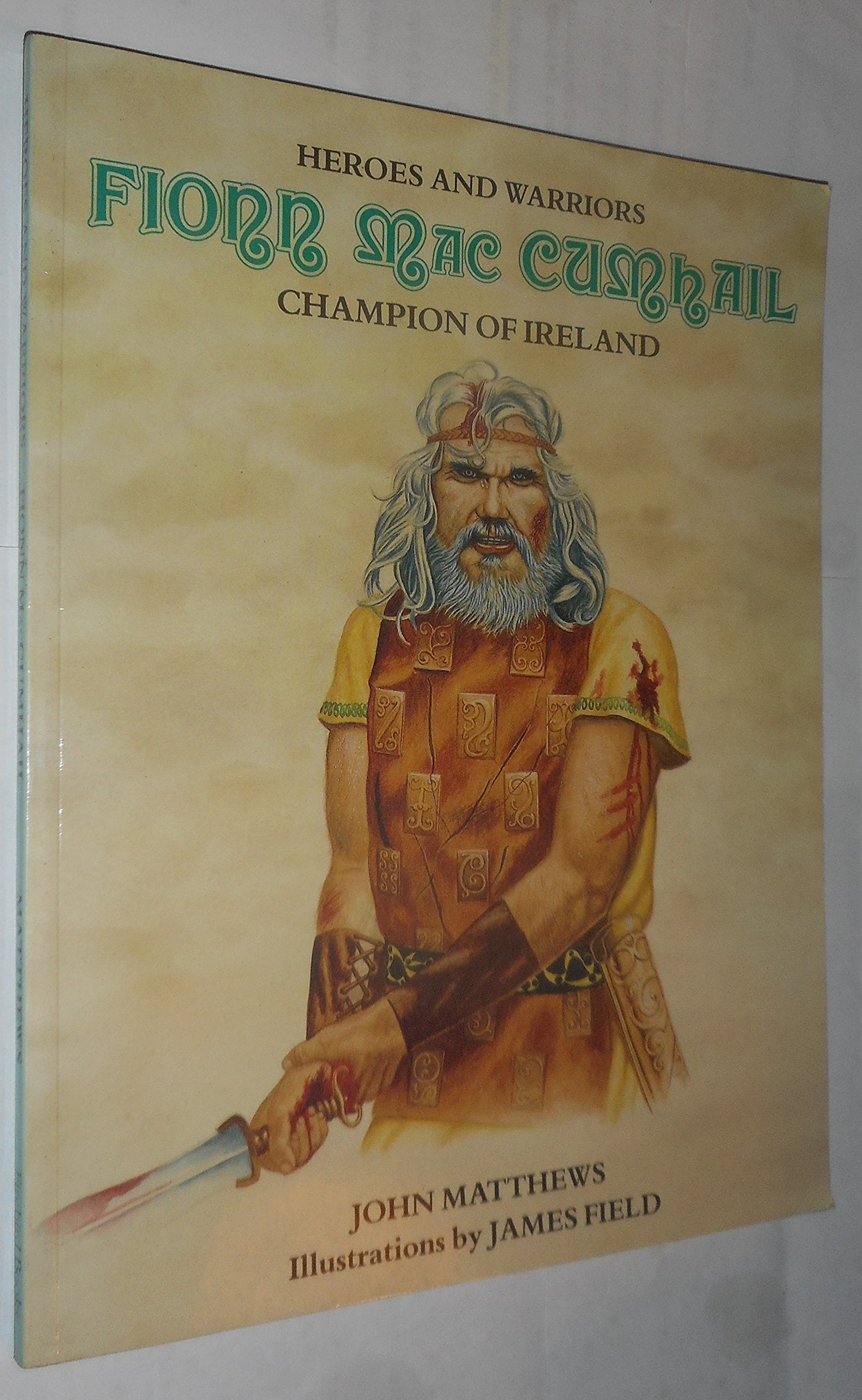 Fionn Mac Cumhail: Champion of Ireland book