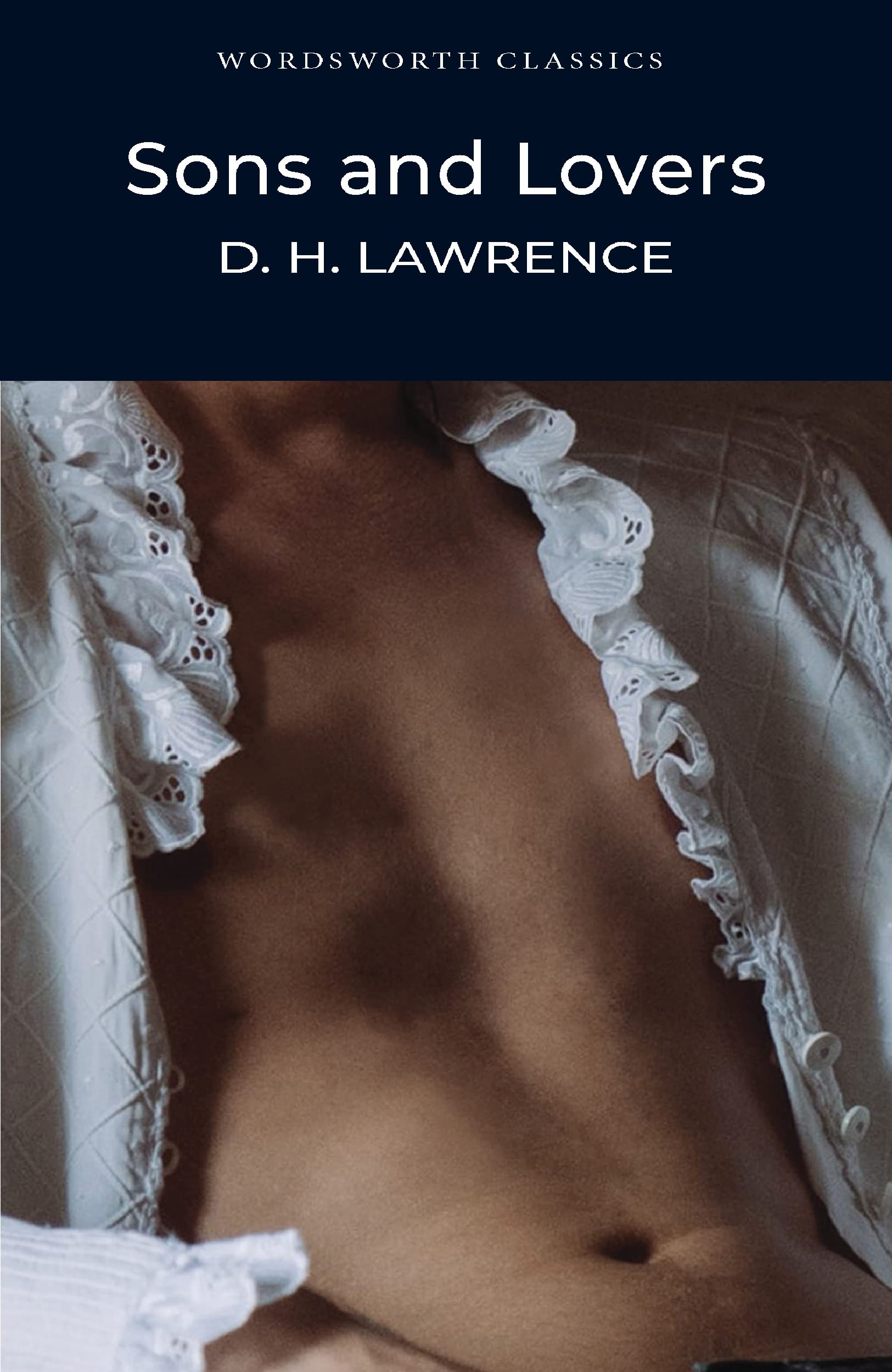 Product Image: Sons and Lovers