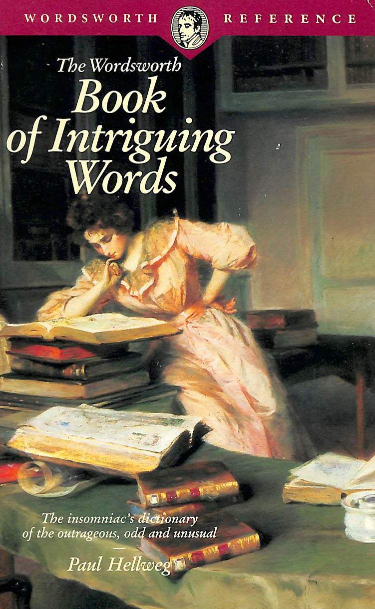 Book of Intriguing Words (Wordsworth Reference) Reference Books