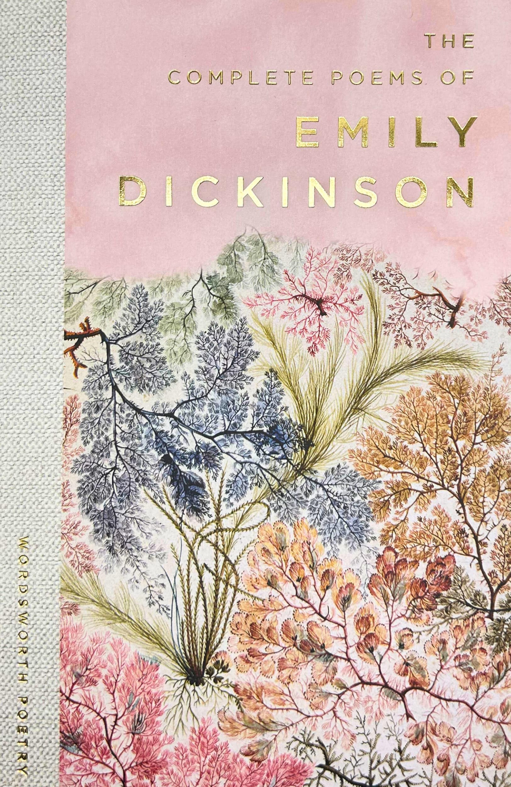 The Selected Poems of Emily Dickinson Classics