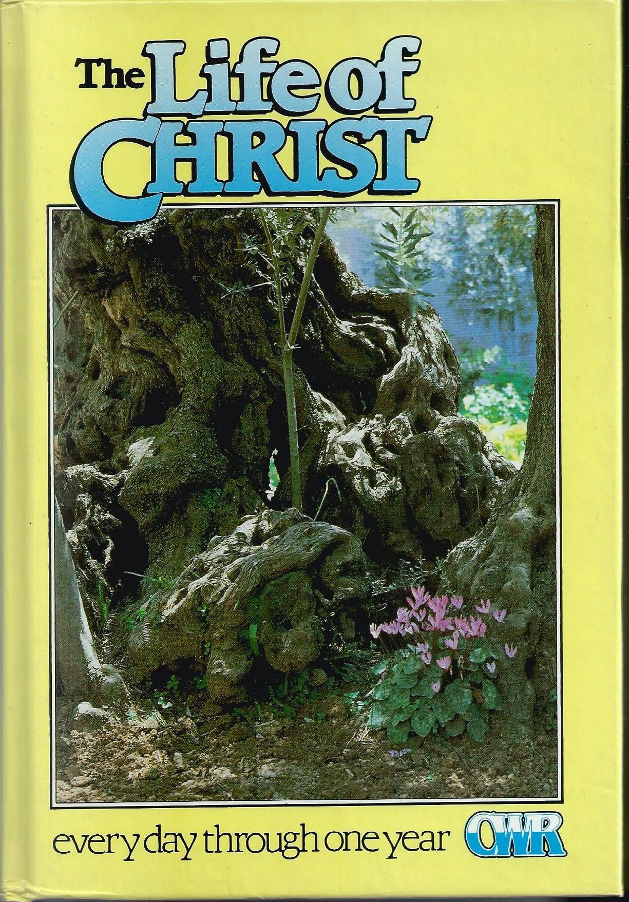 Life of Christ: Every Day Through One Year book