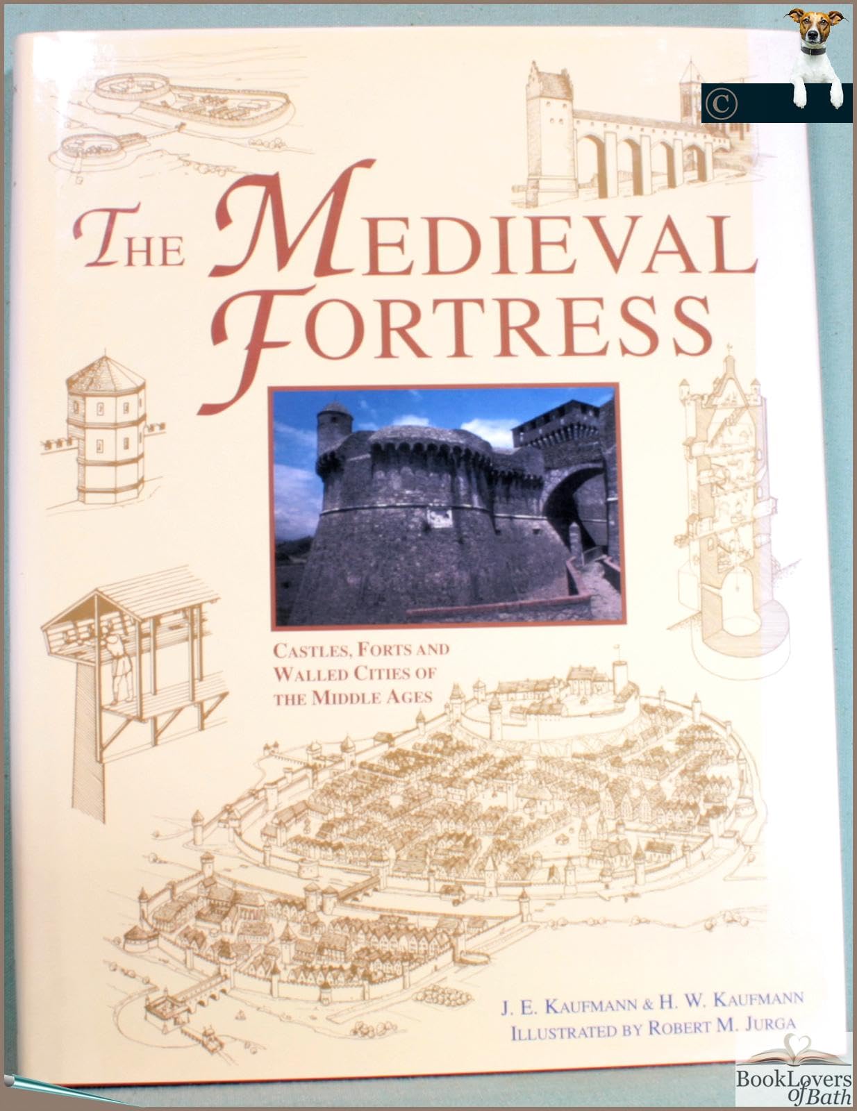 Medieval Fortress: Castles, Forts and Walled Cities of the Middle Ages Politics & History