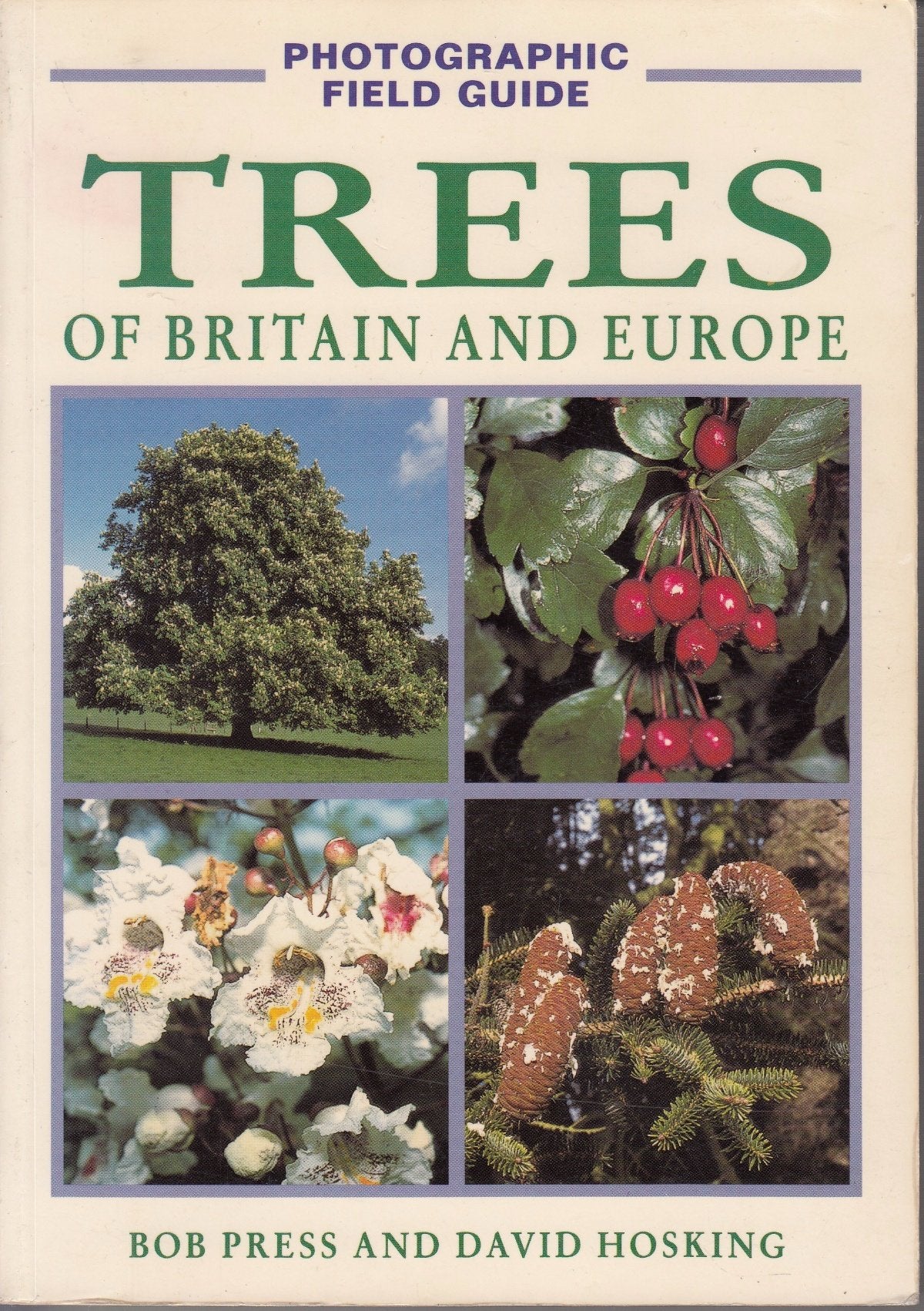 A Photographic Field Guide: Trees of Britain and Europe book